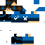 Texture for daniell_brr