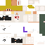 Texture for Leo