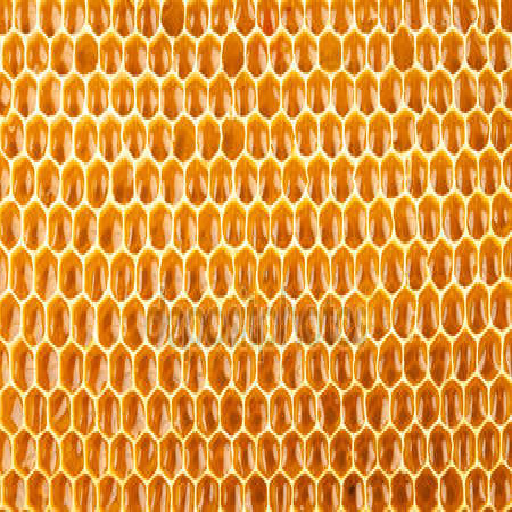 Texture for BAL