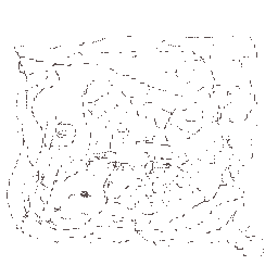 Texture for cloudy