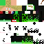 Texture for Creeper Storm Maximilian
