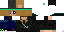 Texture for r466