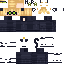 Texture for chat noir