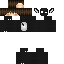 Texture for ds
