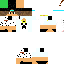 Texture for  h