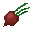 Texture for Beet Root Texture