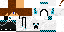 Texture for IceBoy