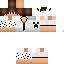 Texture for steve.png