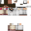 Texture for steve