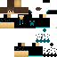 Texture for RaphaelDXG