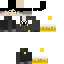 Texture for Midas