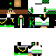 Texture for steve