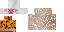Texture for ovca