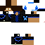 Texture for NickGames110 Reverso
