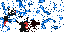 Texture for blck