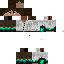 Texture for border guard_2