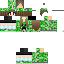 Texture for creeper