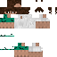 Texture for Maxim