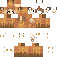 Texture for phoenix