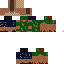Texture for zygis