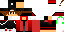 Texture for LUCAS