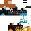 Texture for ds