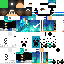 Texture for Steve