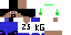 Texture for ds