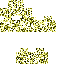 Texture for Popo