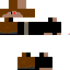Texture for T100