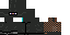 Texture for Ninja