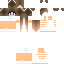 Texture for westogames