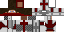 Texture for Templar