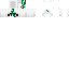 Texture for kopf
