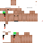 Texture for ptio largo