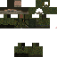 Texture for PVS2