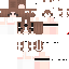 Texture for  