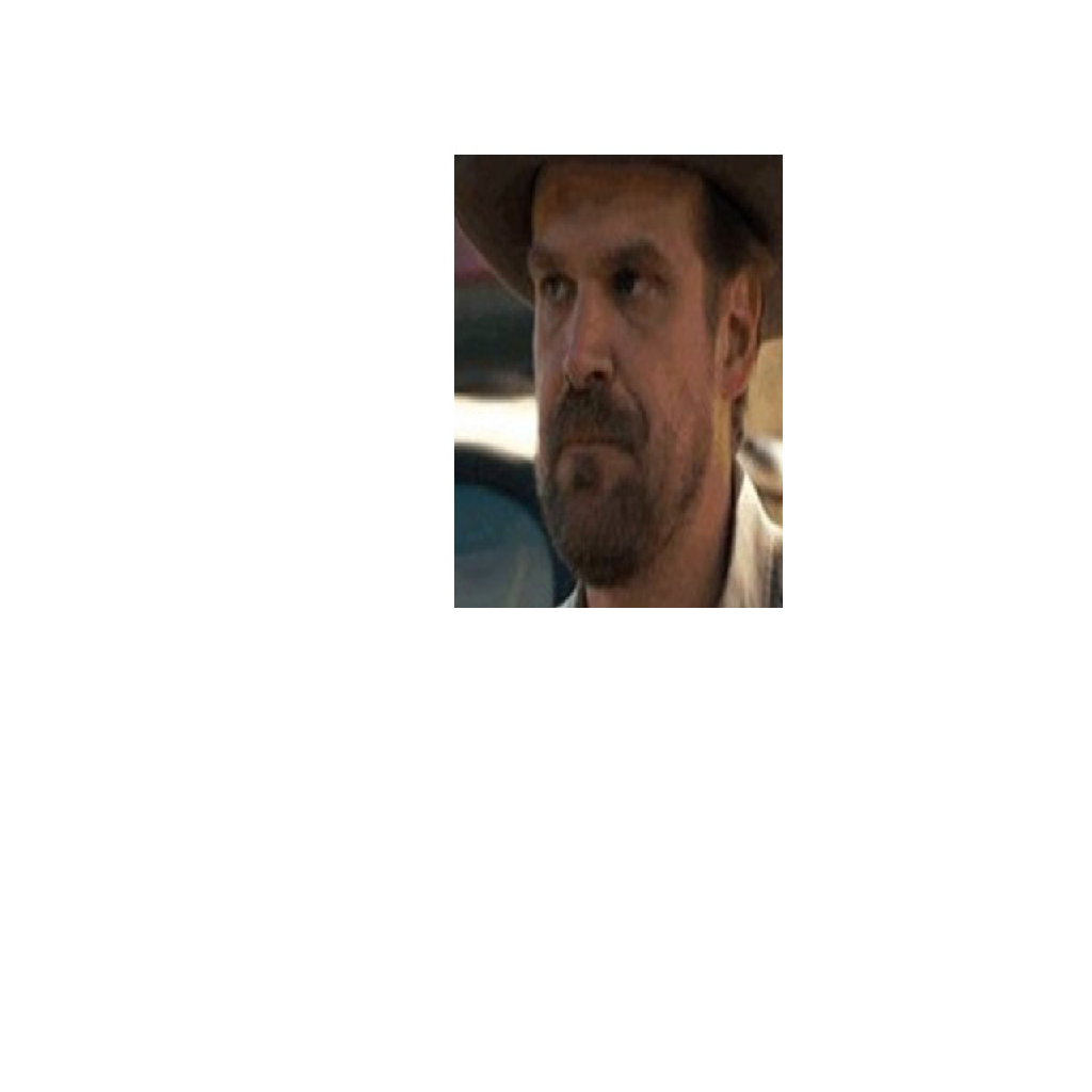 Texture for Hopper