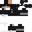 Texture for sr_wallison