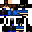 Texture for panther x2