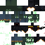 Texture for Lithuania Jak