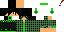 Texture for dmi 15