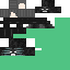 Texture for wip