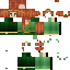 Texture for h