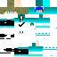 Texture for max
