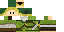 Texture for Zelda