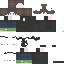 Texture for Steve