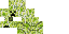 Texture for Yellow creeper