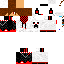 Texture for steve