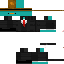 Texture for canard